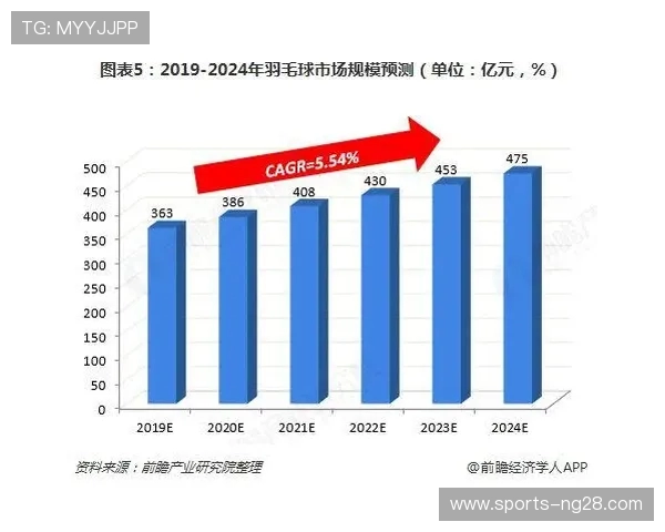 数据分析：南京羽毛球队的实力表现