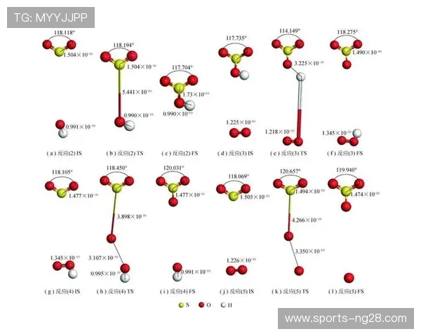 西安羽毛球队在邀请赛中的速度表现分析与点评
