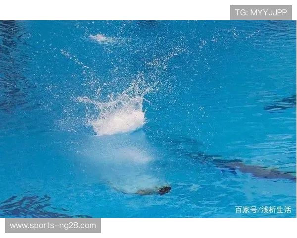 从惊心动魄到优雅入水探秘跳水运动员背后的力量与艺术