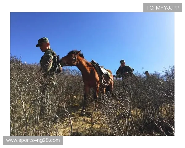 探寻绿茵巨星成长之路与球场荣耀背后那些鲜为人知的精彩故事瞬间