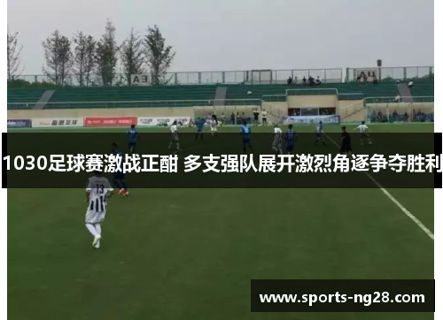 1030足球赛激战正酣 多支强队展开激烈角逐争夺胜利
